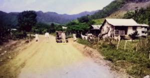 1940s - Palo Alto Road. Today The Rock Restaurant is at the leftcorner of the photo