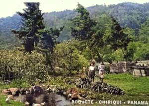 1945 Boquete, Panama Postcard
