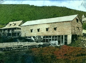 Mr. Watson Coffee Processing Plant in Alto Lino with coffee sun-drying bed